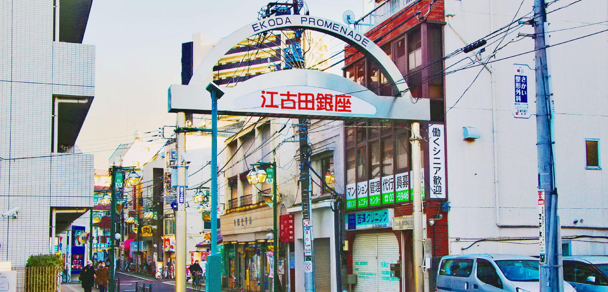 file 268-3.jpg